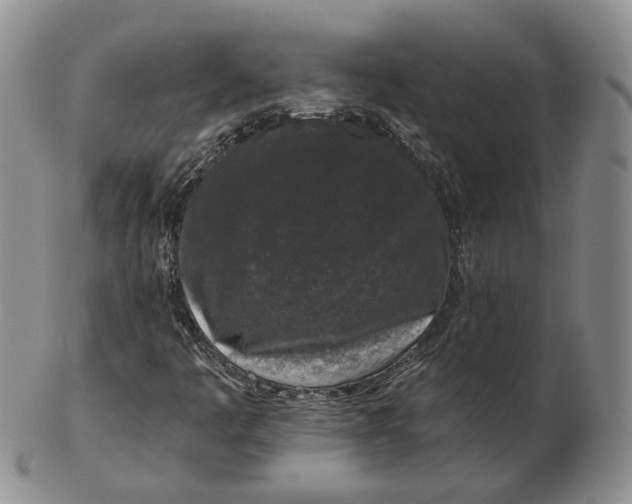 X0000103151445200809121805