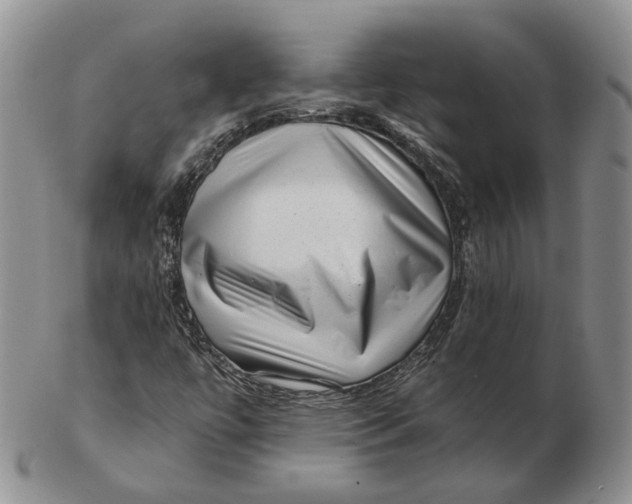 X0000103151447200809121805