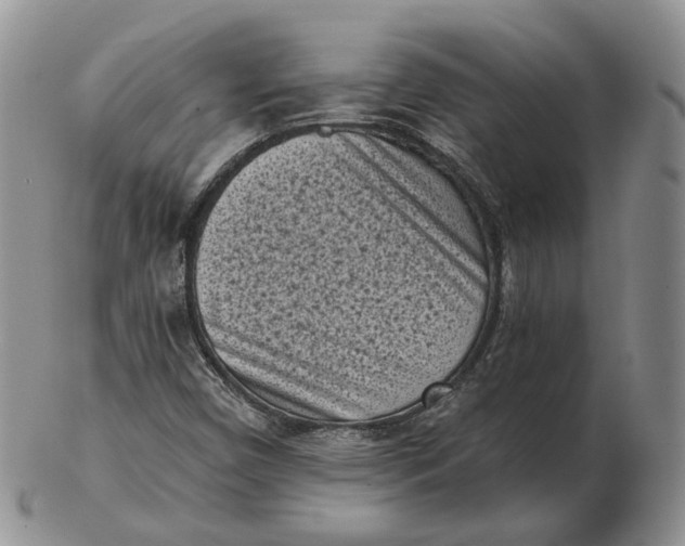 X0000103151450200809121805