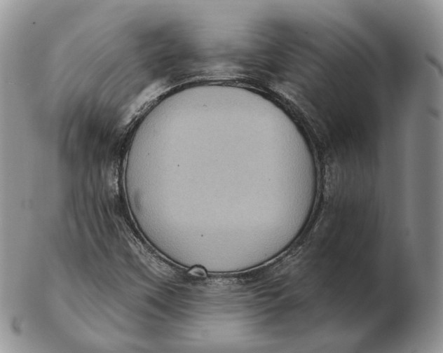 X0000103151451200809121805