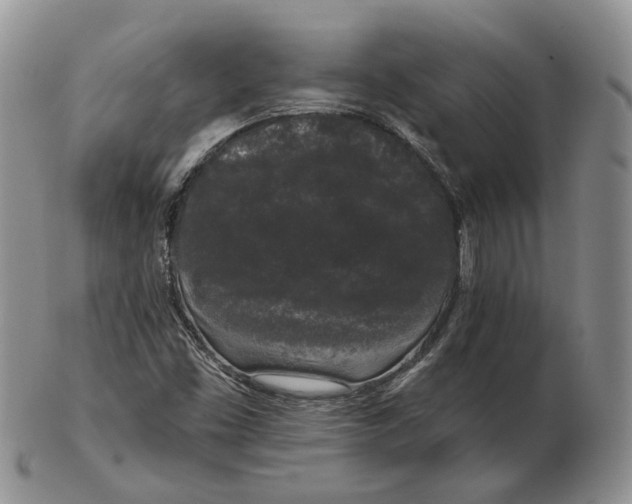 X0000103151453200809121805