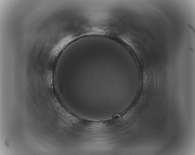 X0000103151455200809121805