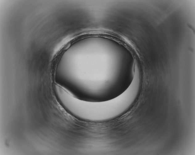 X0000103151456200809121805