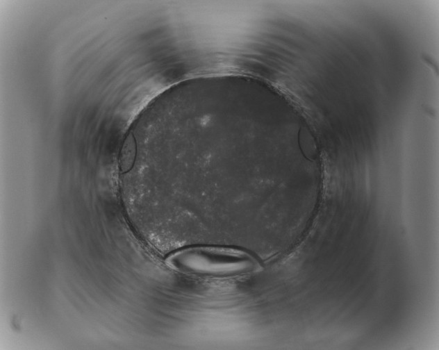 X0000103151457200809121805