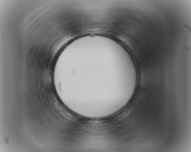 X0000103151458200809121805