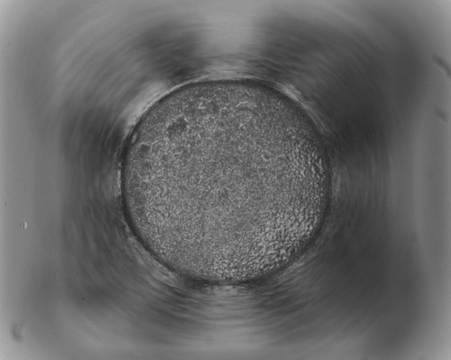 X0000103151459200809121805