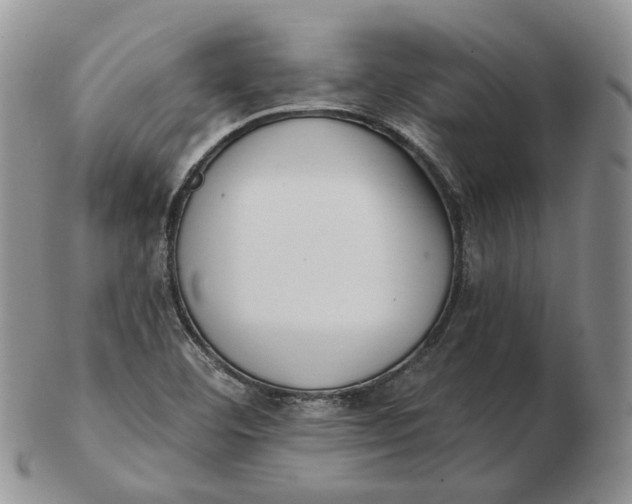 X0000103151460200809121805