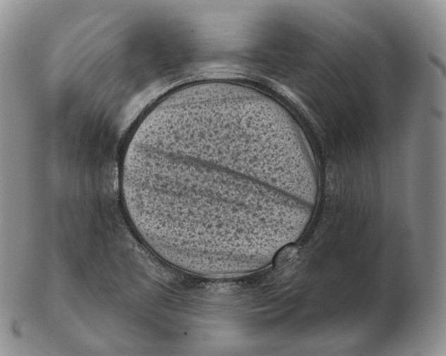 X0000103151461200809121805