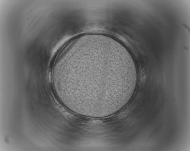 X0000103151462200809121805