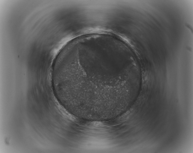 X0000103151463200809121805