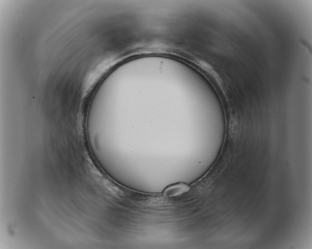 X0000103151464200809121805