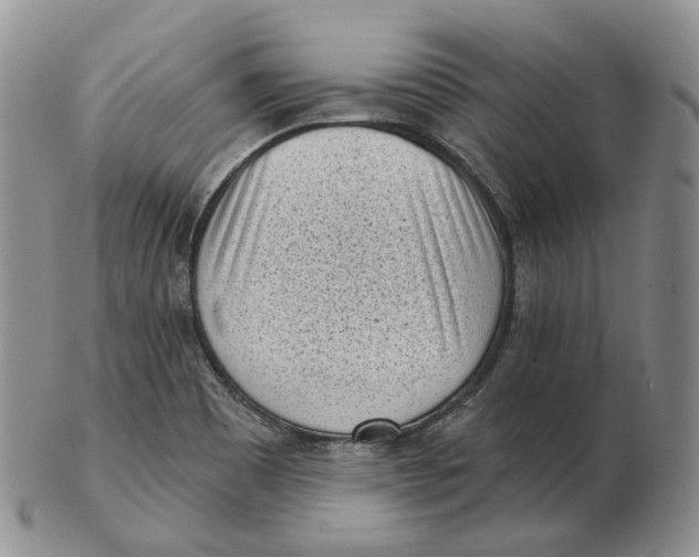 X0000103151465200809121805