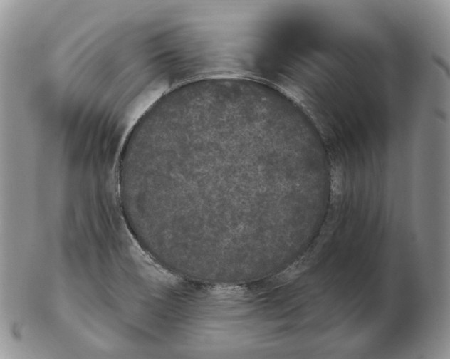 X0000103151466200809121805