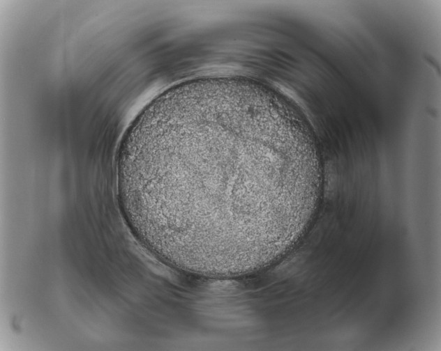 X0000103151467200809121805