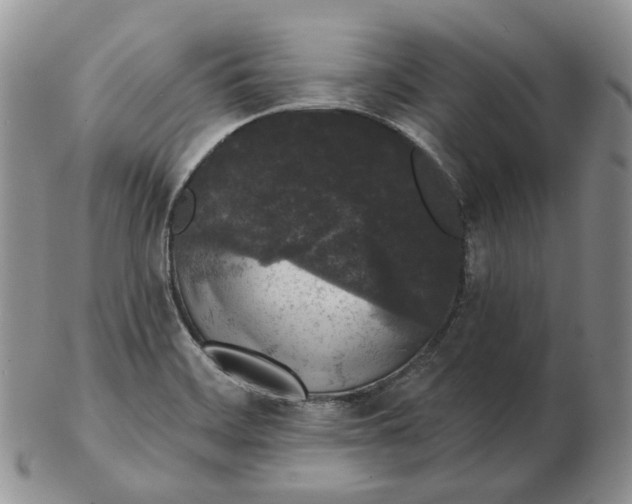 X0000103151468200809121805