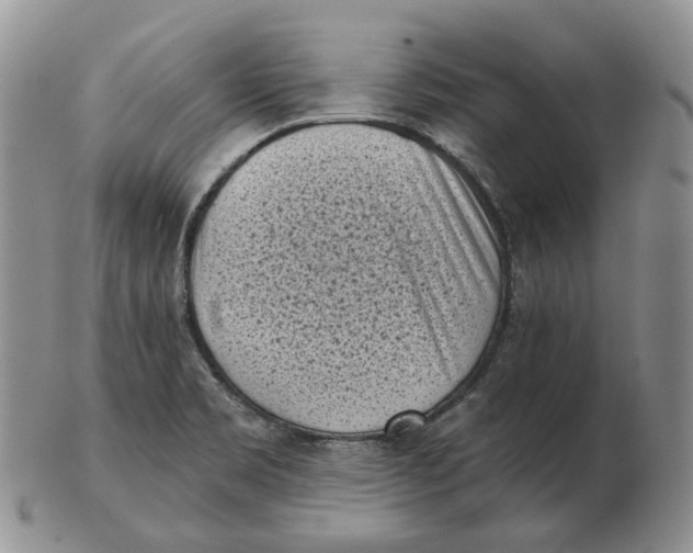 X0000103151469200809121805