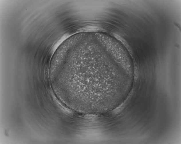 X0000103151473200809121805