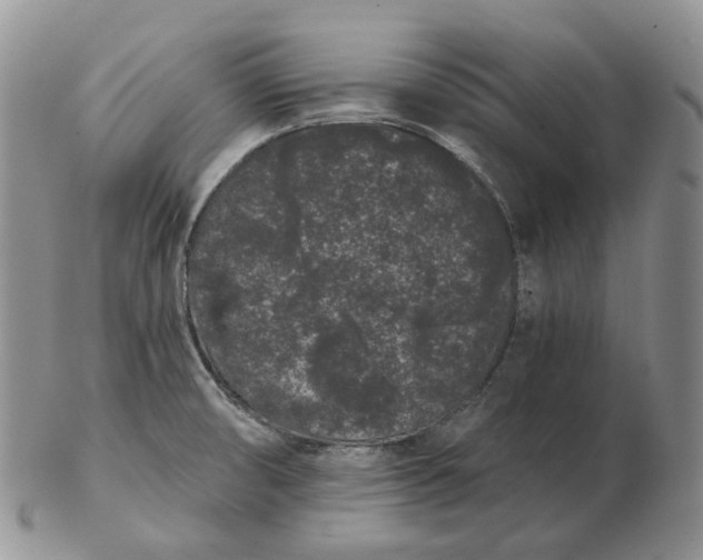 X0000103151474200809121805