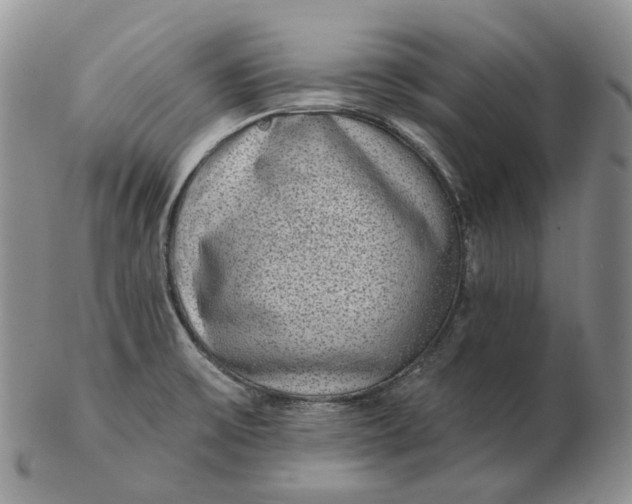 X0000103151475200809121805