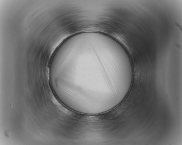 X0000103151476200809121805