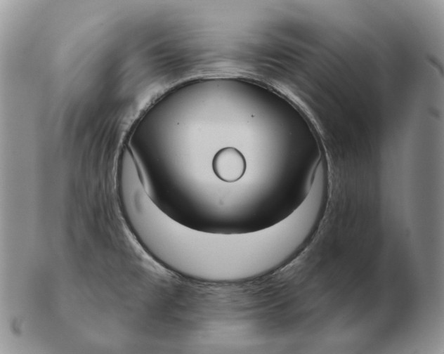 X0000103151477200809121805