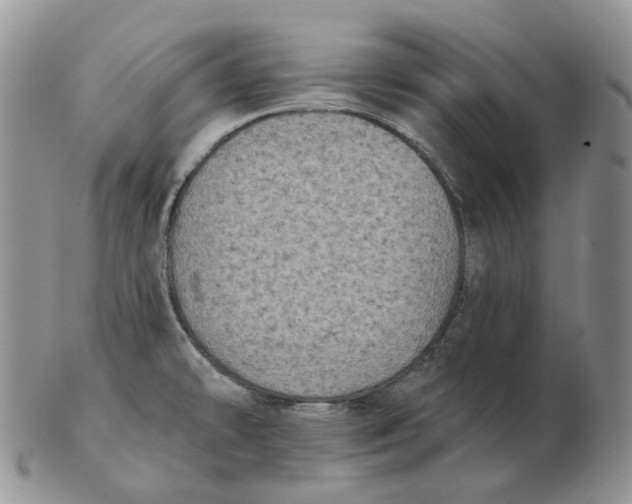 X0000103151478200809121805