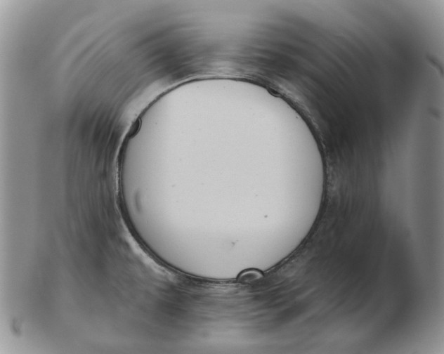 X0000103151479200809121805