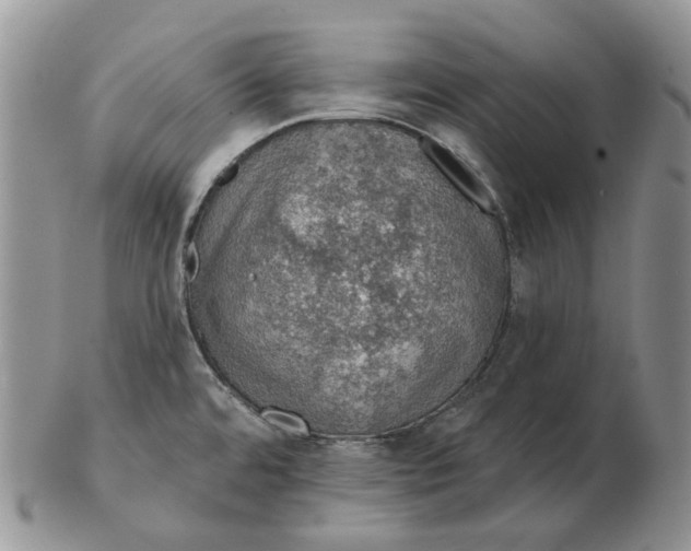 X0000103151480200809121805