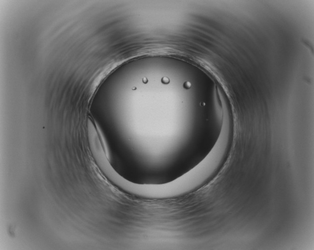 X0000103151481200809121805