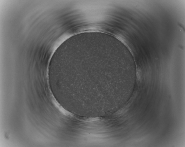 X0000103151482200809121805