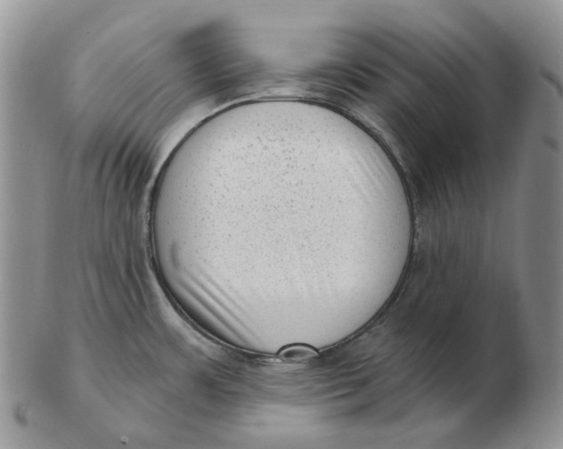 X0000103151483200809121805