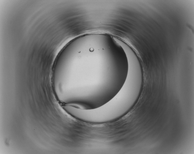 X0000103151484200809121805