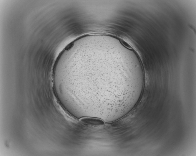 X0000103151485200809121805