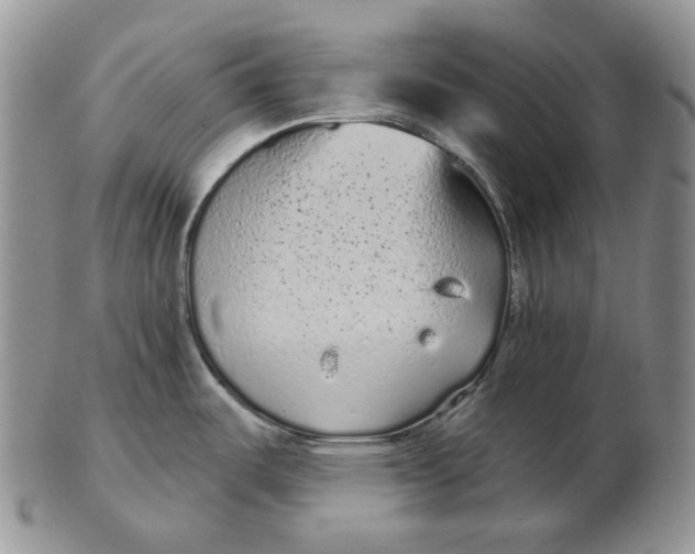 X0000103151487200809121805