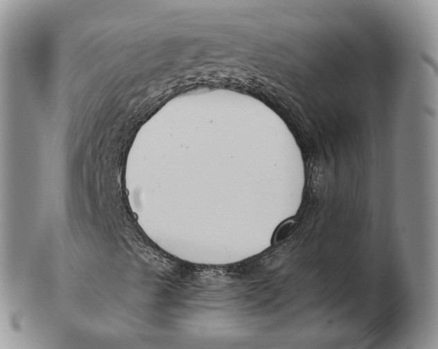 X0000103151489200809121804