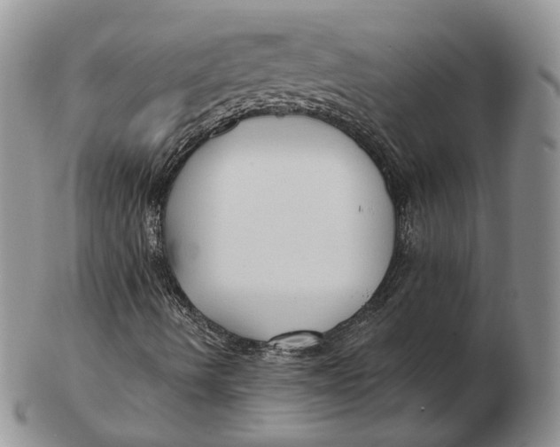 X0000103151490200809121804