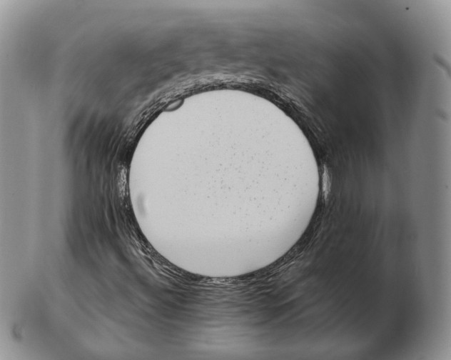 X0000103151492200809121804