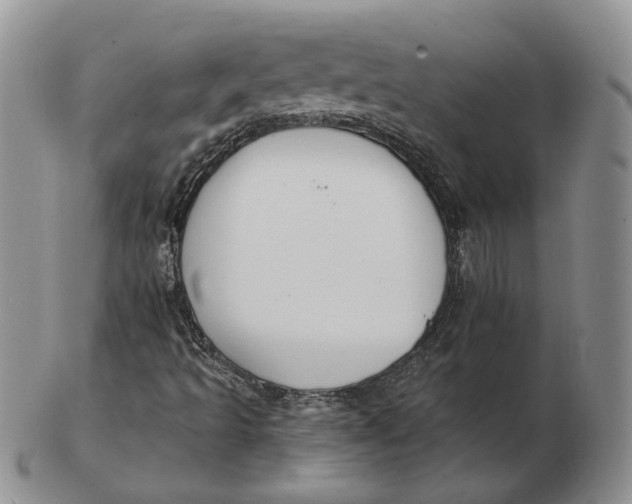 X0000103151493200809121804