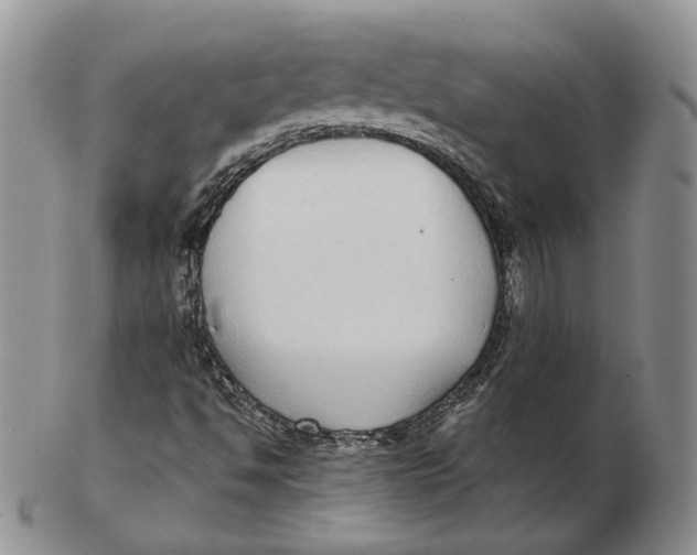 X0000103151494200809121804