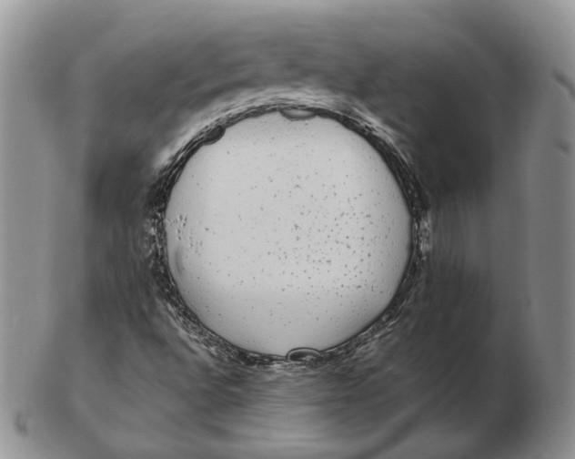 X0000103151496200809121804