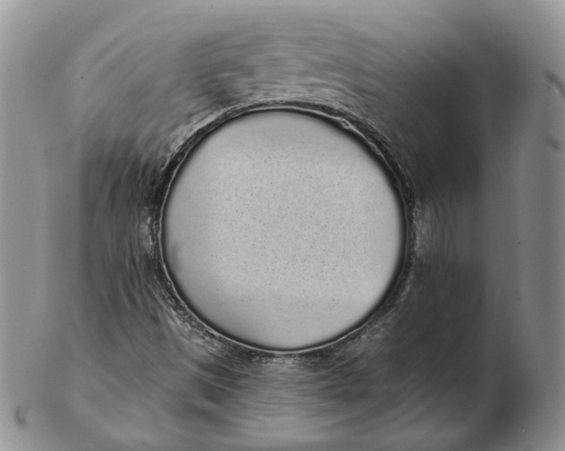 X0000103151497200809121804