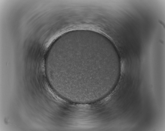 X0000103151498200809121804