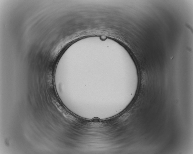 X0000103151499200809121804