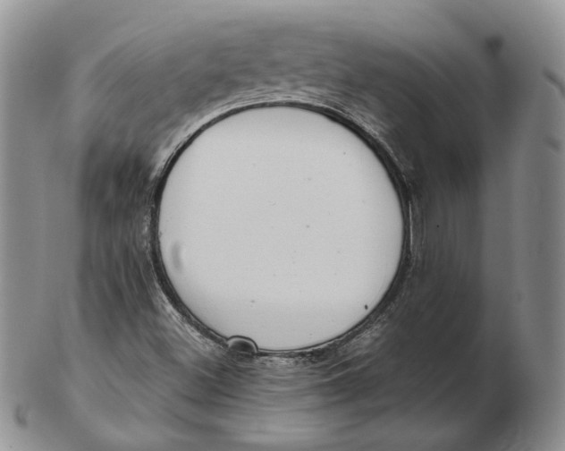 X0000103151500200809121804