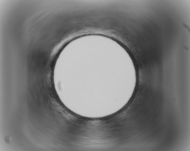 X0000103151502200809121804