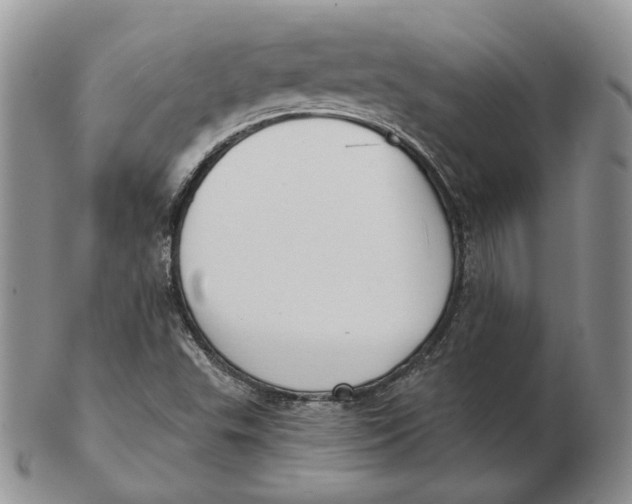 X0000103151503200809121804