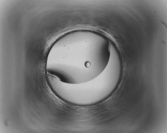 X0000103151504200809121804