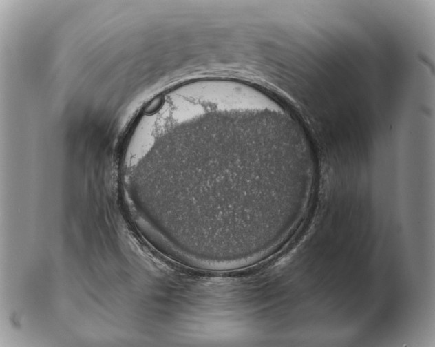 X0000103151506200809121804