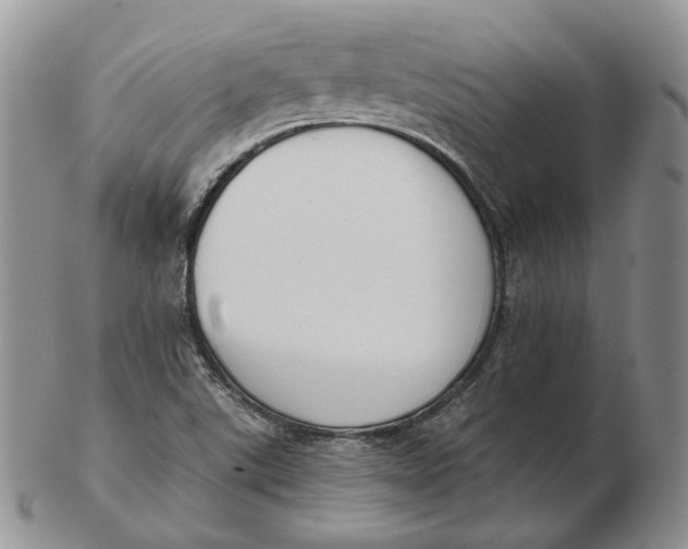 X0000103151507200809121804