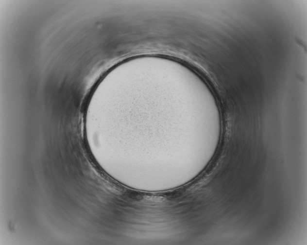 X0000103151509200809121804